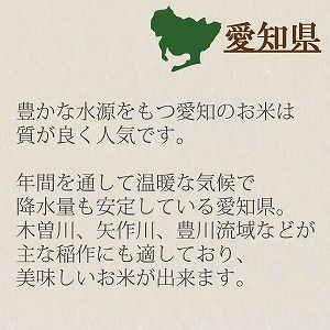 愛知県産コシヒカリ 5kg ※定期便12回 安心安全なヤマトライス H074-554