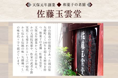 ゆべし・柚子ようかん詰め合わせ 佐藤玉雲堂 岡山県矢掛町 柚子 ようかん 和菓子 スイーツ デザート《30日以内に出荷予定(土日祝除く)》---osy_satoybyz_30d_24_13500_3i---