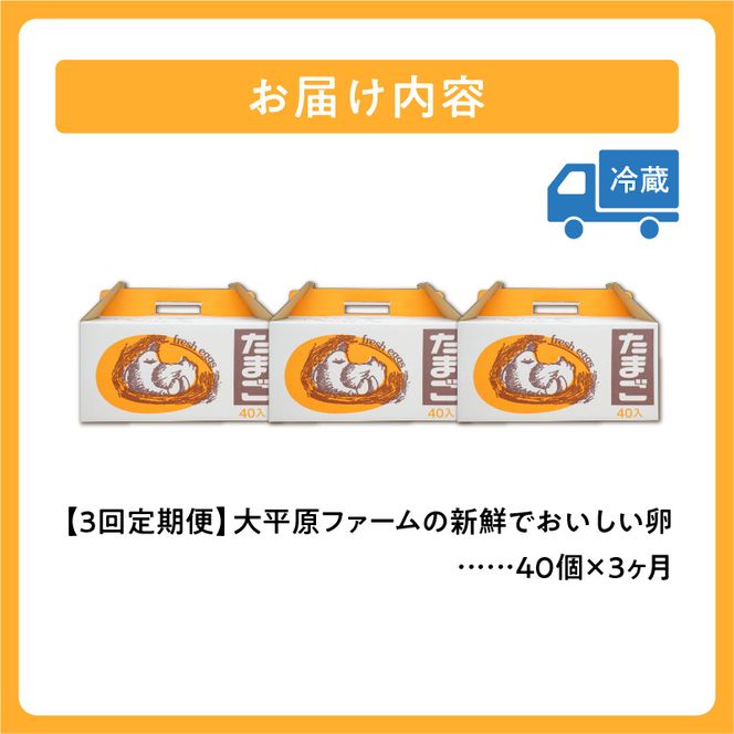 【3回定期便】大平原ファームの新鮮でおいしい卵 計40個(赤卵)×3ヶ月_S035-0016