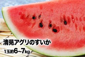 『清晃アグリ』のすいか 1玉約6～7kg 熊本県玉名郡玉東町『清晃アグリ』すいか フルーツ 果物 熊本県産《4月下旬-5月下旬頃出荷》---sg_agusuika_p4_25_12500_6kg---