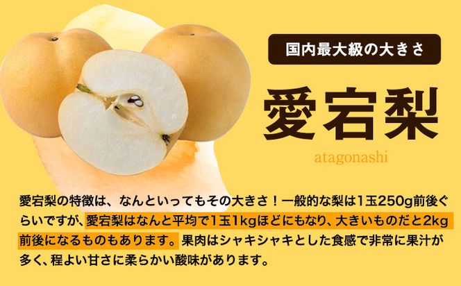 【2026年発送先行予約】岡山県産 あたご梨 大玉2玉（950g以上）【配送不可地域あり】 《2026年11月下旬-12月下旬頃に出荷予定(土日祝除く)》 岡山県 矢掛町 なし 梨 果物---osy_hbf27_p11_26_14000_2---