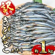 ＜訳あり・業務用＞きびなごの丸干し (計約1kg) 干物 ひもの 唐揚げ フライ 天ぷら 焼き物 お弁当 おかず お酒のおつまみ 大分県 佐伯市 【GH001】【増野善雄商店】