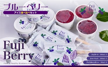 Fuji Berry ブルーベリーアイス食べ比べセット FAZ107