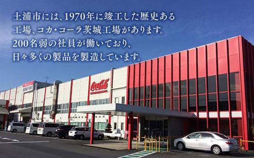 【12ヶ月定期便】からだすこやか茶W 350ml×288本(12ケース)【トクホ：特定保健用食品】 ※離島への配送不可