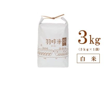 [A016] 【無農薬】【白米】能登のこだわり自然栽培こしひかり『羽咋米』 ３kg（３kg×１袋）
