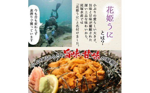 鹿児島県産うに使用！人気のうに珍味 阿久根の五宝海(ごほうび)セット(5瓶) ムラサキウニ 酒好熟うに 粒うに うに味噌 あわびうに いかうに 詰め合わせ 食べ比べ 贈答用 ギフト 贈り物 花姫うに おつまみ ウニ 珍味 国産 鹿児島県産【尾塚水産】akn004-18