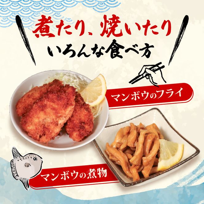 マンボウ正肉600g | 鮮魚 刺身 海鮮 魚 魚介類 まんぼう マンボウ 冷凍 骨なし 生食可 焼き物 フライ 揚げ物 煮物 ご飯のお供 お酒のお供 1万円 10000円 三陸 岩手県 大船渡市 【kouyou011】