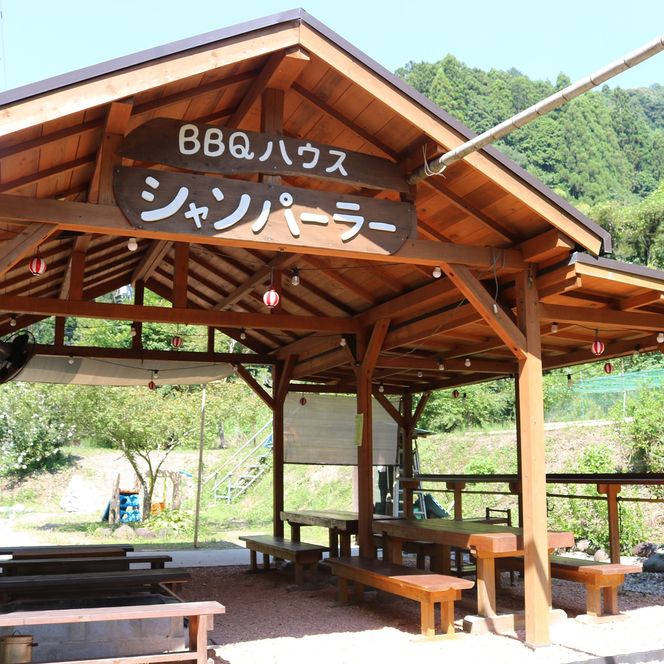  焼き肉のタレ たれ助 2本 焼肉 タレ たれ 調味料 BBQ バーベキュー アウトドア 万能 かくし味 静岡県 藤枝市[PT0051-000002]