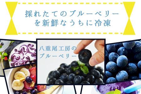 ＜冷凍ブルーベリー(500g×2袋)＞翌月末迄に順次出荷【b0135_ye】