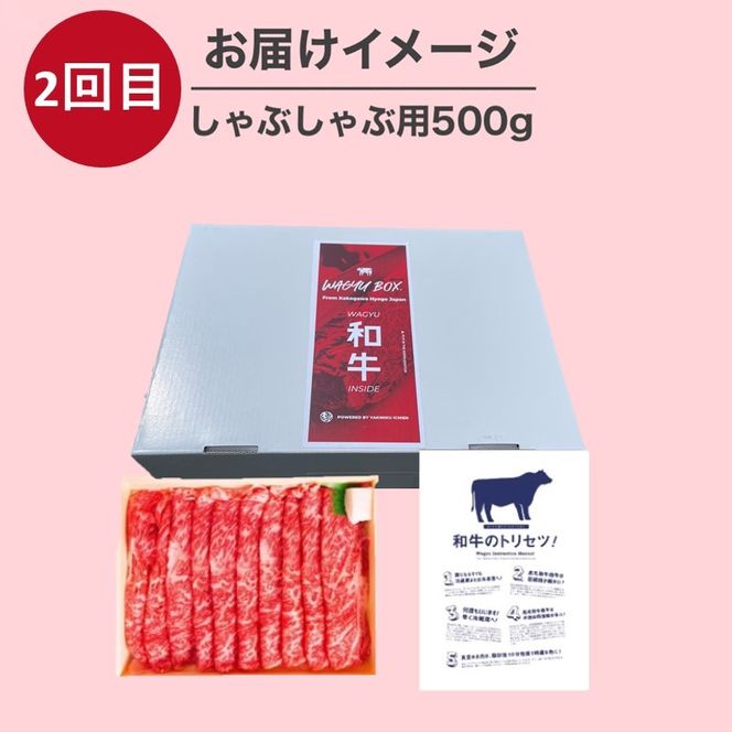 OMAKASE BOX 肉のまち加古川 プリンセス和牛定期便(全4回)《 肉 定期便 牛肉 ステーキ しゃぶしゃぶ すき焼き用 焼肉 おすすめ 贈答 プレゼント 》