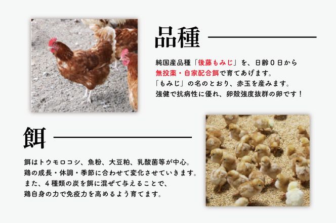 AQ004　高橋ファームの丈夫卵60個入り