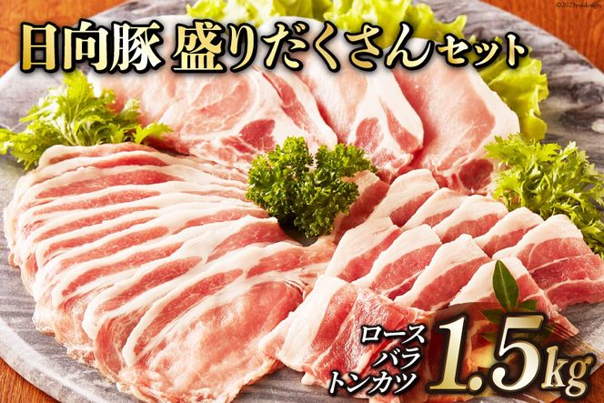 日向豚の盛りだくさんセット1.5kg [JA日向　肉豚部会 宮崎県 日向市 452060206]