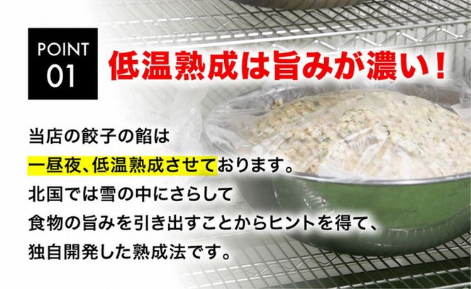 「宇都宮餃子館」フカヒレ餃子 640g（32個）≪ギョーザ 冷凍餃子 冷凍食品 グルメ 食品 惣菜 中華惣菜 点心 中華≫