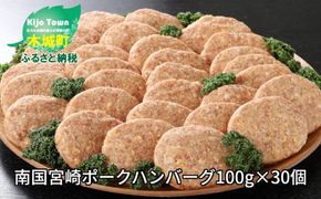 ★スピード発送!!７日～10日営業日以内に発送★ 南国宮崎ポークハンバーグ100g×30個 K16_0023_2