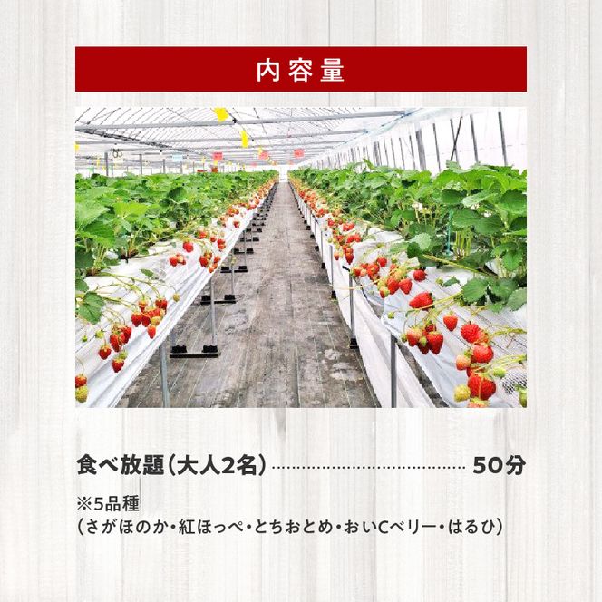 いちご狩り 5品種 食べ放題 50分 ペア入園券 いちにのいちご園 N085-YA839