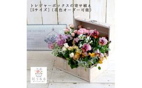 D015 花うるるのおまかせ寄せ植え「トレジャーBOX」Sサイズ～季節の花をアレンジ