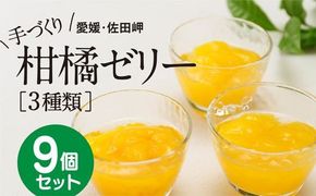 【皮までまるごと国産無添加】愛媛まるごとゼリーセット（9個）