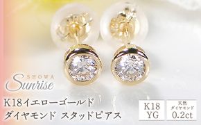 プラチナ ネックレス ダイヤモンド 六芒星 六角柱 pt999 管理