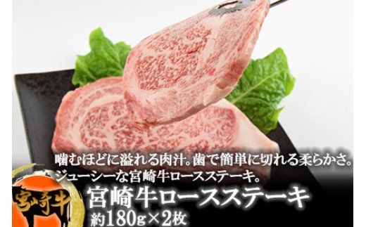 ＜宮崎牛のセットB＞翌月末迄に順次出荷【a0147_sb】