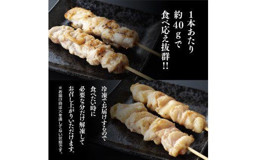 【３ヶ月定期便】 焼き鳥人気部位串 計４８本 [D07801t3]