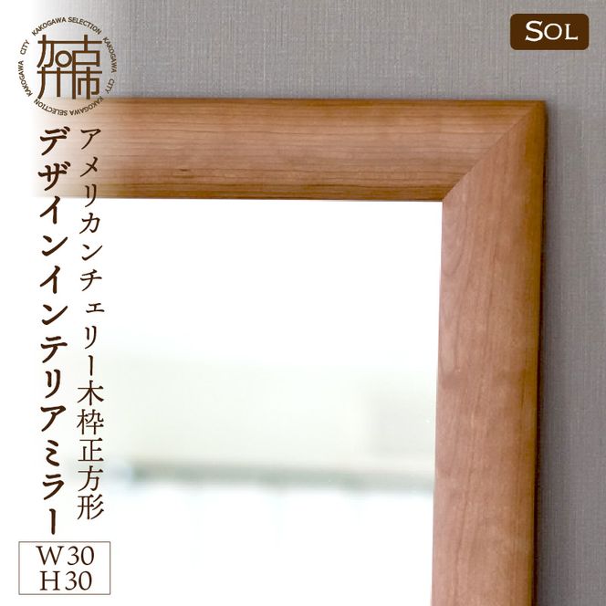 yɌÐszySENNOKIzSOL\ AJ`F[ W300×D30×H300mm(1kg)ؘg`fUCCeA~[y2404M05015z