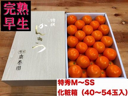 定期便 先行受付 2026年 10月発送スタート 有田みかん 食べくらべ 3種 化粧箱 各約 3kg 全3回 南泰園 BS806