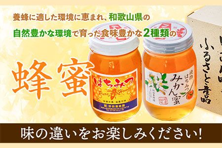 【和歌山県日高川町】みかん蜂蜜と百花蜜　蜂蜜２種類セット 株式会社フラット・フィールド・オペレーションズ 日高川町事業所 (道の駅SanPin中津)《90日以内に出荷予定(土日祝除く)》 和歌山県 日高川町 蜂蜜 みかん 百花---wshg_spn2_90d_24_22000_2p---