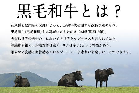 黒毛和牛ホルモン800g(200g×4袋) ブランド牛 有限会社トップルーフ《60日以内に出荷予定(土日祝除く)》---so_ftopkrhr_60d_21_25500_800g---