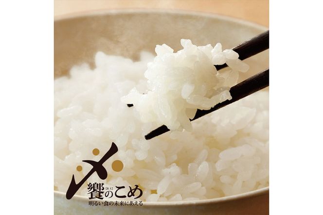 米 定期便 能登米 こしひかり 5kg ×3回 総計15kg [中橋商事 石川県 宝達志水町 38601206] コシヒカリ お米 コメ 3ヶ月 3か月 白米 精米 hurusatonouzei おこめ こめ