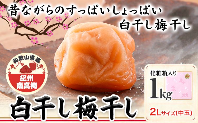 梅干し 白干し梅干し 1kg 中玉 2L 和歌山県産 株式会社とち亀物産 [30日以内に出荷予定(土日祝除く)] 和歌山県 日高町 梅 うめ 白干し 梅干し うめぼし 紀州南高梅 漬物 漬け物 ごはんのお供---wsh_ttk9_30d_23_15000_s2l---