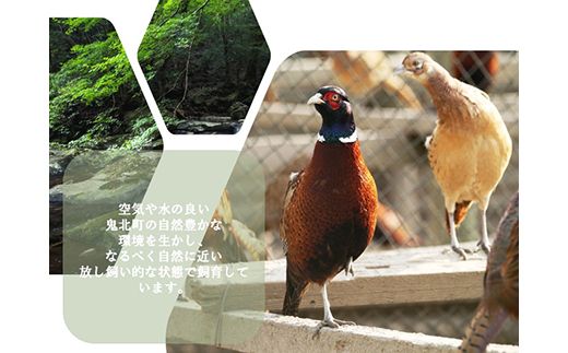 yQkFaSSkzZbg LW WrG Ⓚ VNu2lŃLWZbgv LW  LW WrG Ƃ { c l  TT~ H ~ n   Hi    ͂ Q Sk2025N1{菇\