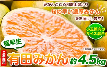 ＜先行予約＞家庭用 極早生有田 みかん 4.5kg+135g（傷み補償分）【 YN26・ゆら早生 】【わけあり・訳あり】池田鹿蔵農園（池田農園株式会社）《2024年9月中旬-11月中旬頃出荷》和歌山県 日高町 みかん 有田みかん 完熟 厳選【配送不可地域あり】---wsh_idn42_9c11c_24_9000_4500g---