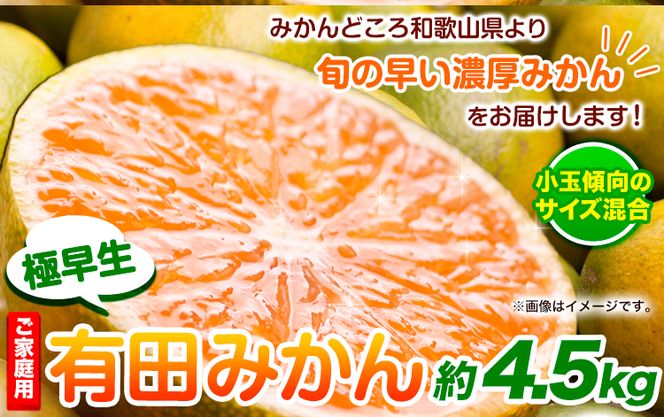 ＜先行予約＞家庭用 極早生有田 みかん 4.5kg+135g（傷み補償分）【 YN26・ゆら早生 】【わけあり・訳あり】池田鹿蔵農園（池田農園株式会社）《2024年9月中旬-11月中旬頃出荷》和歌山県 日高町 みかん 有田みかん 完熟 厳選【配送不可地域あり】---wsh_idn42_9c11c_24_9000_4500g---