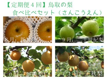 1203 【定期便４回】 鳥取の梨食べ比べセット（さんこうえん）