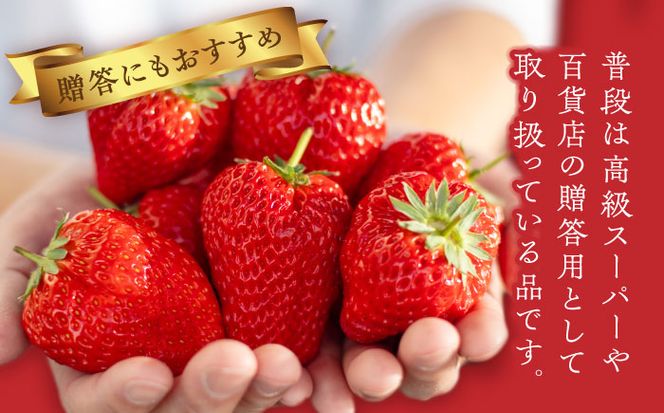 先行予約】 超特大玉いちご 完熟 紅ほっぺ (350g×4パック) いちご 果物 