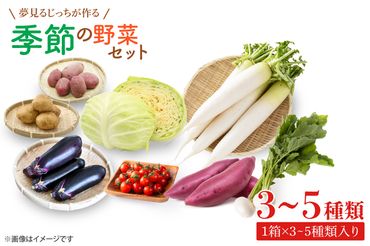 CN-7 【6ヶ月定期便】 夢見るじっちが作る季節の野菜セット 3～5種類入り1箱