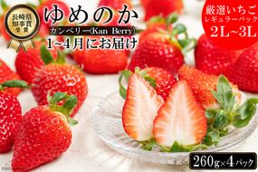 CE178 長崎県知事賞受賞【 厳選 いちご 】「 ゆめのか （ 2L ～ 3L ）」260g × 4パック ＜1～4月にお届け＞