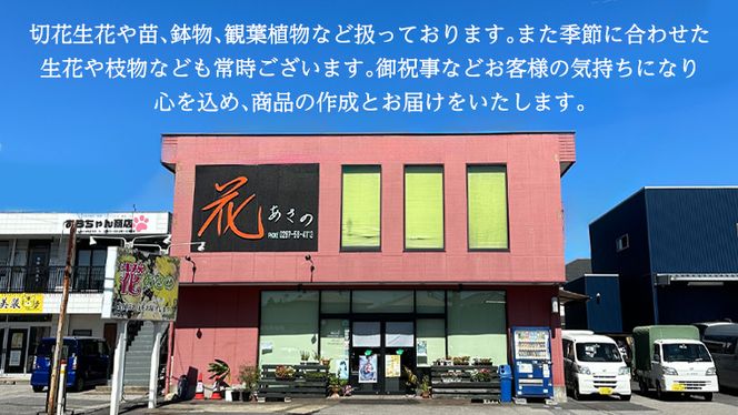 季節の寄せかご（中） 花 お花 フラワー 誕生日 プレゼント ギフト 贈り物 父の日 母の日 [AS01-NT]