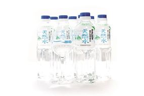 BA028 山崎本店酒造場 雲仙島原の天然水 500mL 30本 計15L [ 水 ペットボトル 天然水 湧水 おいしい 備蓄 日用品 大容量 名水百選 軟水 長崎県 島原市 ]