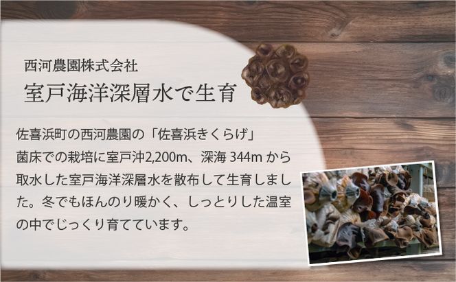 佐喜浜キクラゲ（天日干し）　計３００ｇ　３０g×１０袋詰め合わせセット  nc006