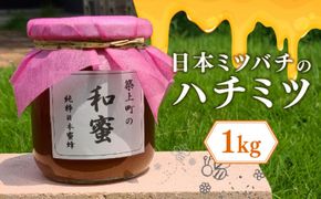 【福岡県築上町産】上村さん家の はちみつ 「築上町の 和蜜 」1kg《築上町》【上村 忍】[ABBX003]