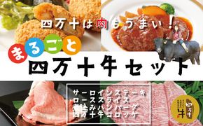 R5-021．幻のメス牛 まるごと四万十牛セット（サーロインステーキ・ローススライス・煮込みハンバーグ・四万十牛コロッケ）