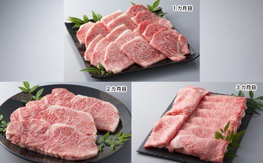 yꌧszyA-008zgX ߍ][XÂR[X`iЕzRJj mIin