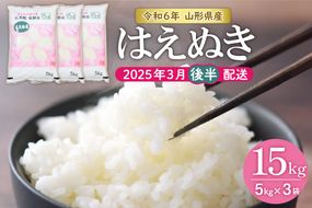 【令和6年産 先行予約】はえぬき15kg (2025年3月後半送付)JA提供 山形県 東根市　hi002-027-033