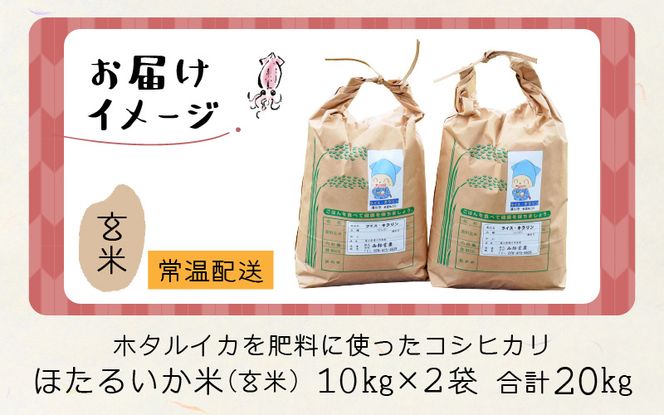 【新米】ほたるいか米（新米/玄米20kg）