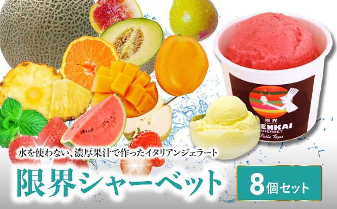【J06005】限界シャーベット 8個セット