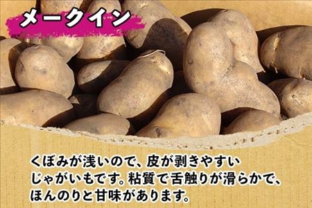 北海道 じゃがいも メークイン 10kg 北海道産 十勝産 ジャガイモ 芋 いも ポテト お取り寄せ まとめ買い 送料無料 十勝 士幌町【V05】