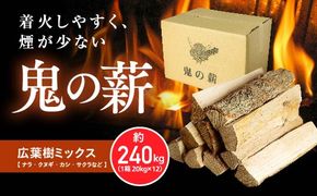 鬼の薪（鬼北の広葉樹ミックス乾燥割薪）12箱<薪 ストーブ アウトドア キャンプ ピザ ボイラー 自然 火 炎 燃料 焚火 暖炉 窯焼き 四国薪販売 焚火 キャンプファイヤー 愛媛県 鬼北町>