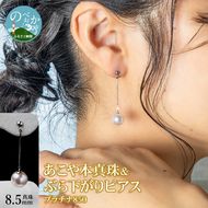 あこや本真珠 ぶら下がりピアス 真珠 8.5mm プラチナ 850 チェーン 2cm　N0119-YZH037