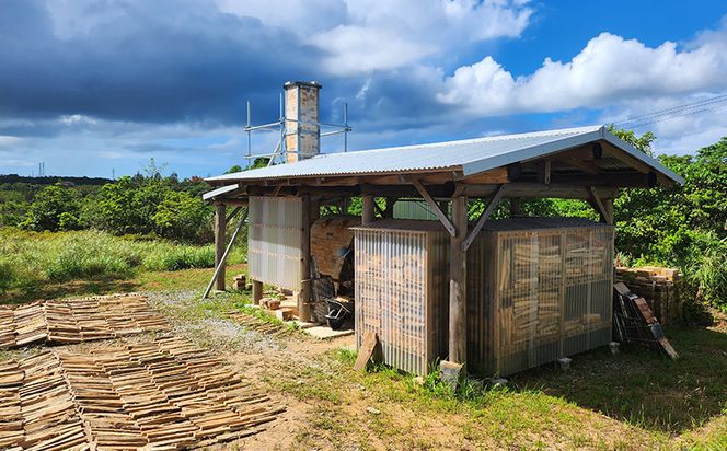 指描８寸皿緑釉・あめ釉1枚【神谷窯】 沖縄 おきなわ やちむん 焼き物 食器 大皿 皿 さら プレート 大宜味村 盛皿 カレー皿 パスタ皿 陶器 1枚 ８寸皿 工芸品 贈り物 1万円台 和食器